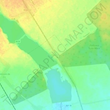 Mapa topográfico Ilfoveni, altitud, relieve