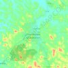 Mapa topográfico Asankrangwa, altitud, relieve