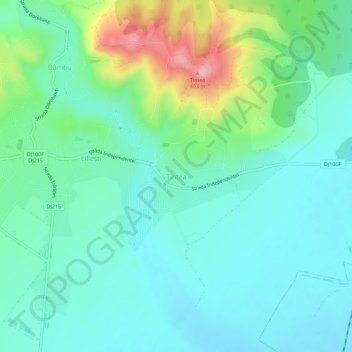 Mapa topográfico Țintea, altitud, relieve