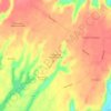 Mapa topográfico Comunidad Paicaví Grande, altitud, relieve