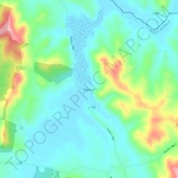 Mapa topográfico Pajonal, altitud, relieve