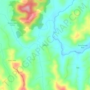 Mapa topográfico Palihue, altitud, relieve