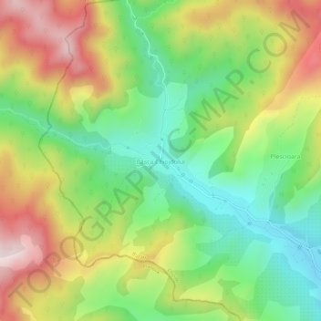 Mapa topográfico Bâsca Chiojdului, altitud, relieve