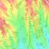 Mapa topográfico Palau-solità i Plegamans, altitud, relieve